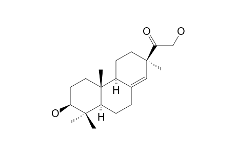 Lonchophylloid B