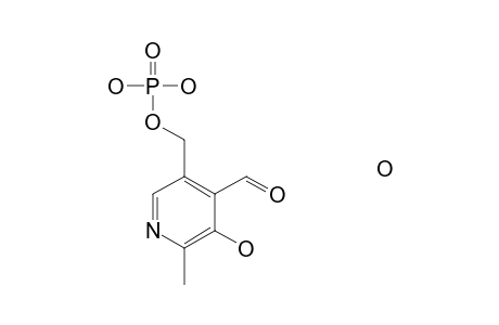 Pyridoxal 5'-phosphate hydrate