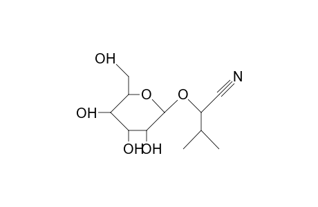 Heterodendrin (S)