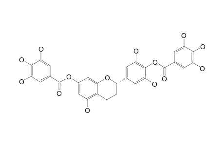 (-)-7,4'-DI-O-GALLOYLTRICETILFLAVAN