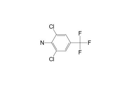 2,6-Dichloro-4-(trifluoromethyl)aniline
