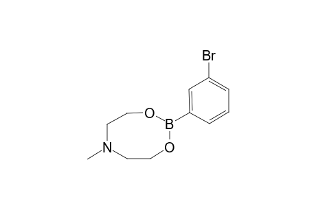 3-Bromobenzeneboronic acid N-methyldiethanolamine ester
