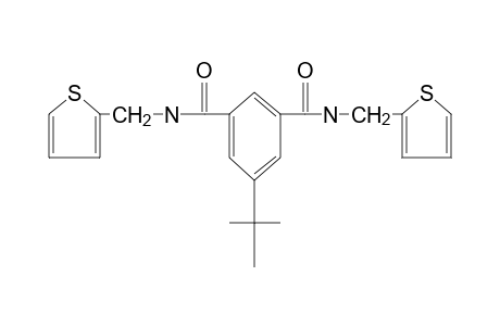 N,N'-bis(2-thenyl)-5-tert-butylisophthalamide