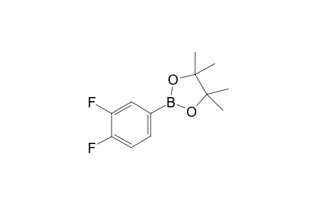 2-(3,4-Difluorophenyl)-4,4,5,5-tetramethyl-1,3,2-dioxaborolane