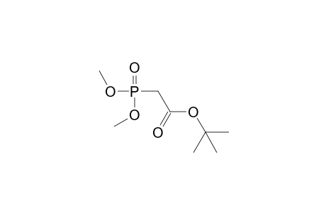 phosphonoacetic acid, 1-tert-butyl dimethyl ester