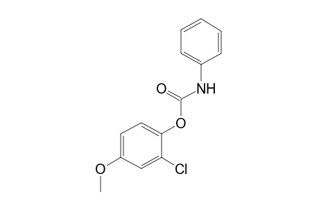 2-chloro-4-methoxyphenol, carbanilate