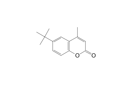 6-tert-BUTYL-4-METHYLCOUMARIN