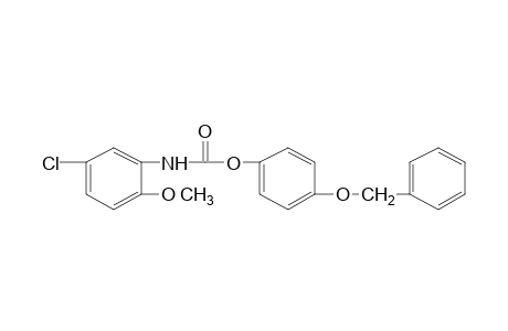 5-chloro-2-methoxycarbanilic acid, p-(benzyloxy)phenyl ester