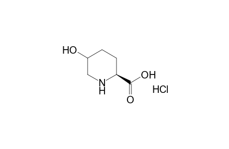 5-Hydroxyl-L-pipecolic acid HCl