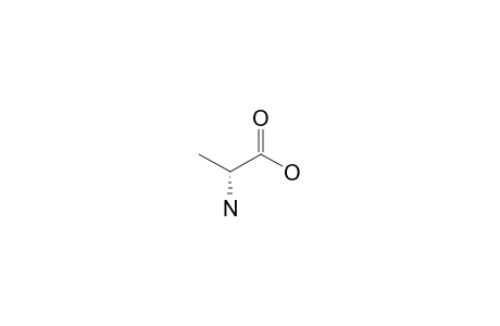 D-Alanine