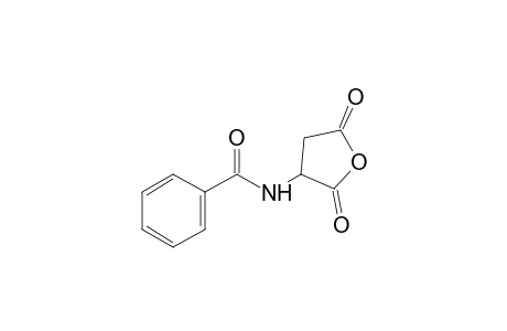 2-benzamidosuccinic anhydride