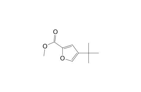 2-Furancarboxylic acid, 4-(1,1-dimethylethyl)-, methyl ester