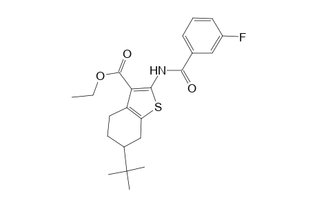 Benzo[B]thiophene-3-carboxylic acid, 6-(1,1-dimethylethyl)-2-[(3-fluorobenzoyl)amino]-4,5,6,7-tetrahydro-, ethyl ester