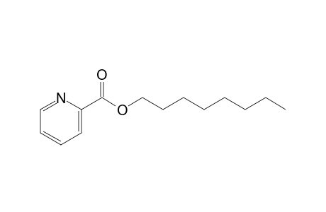 Picolinic acid, octyl ester