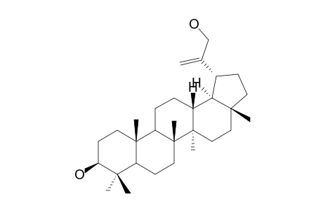 30-HYDROXY-LUPEOL