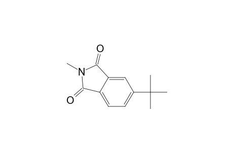 4-(1',1'-Dimethylethyl)-N-methylphthalimide