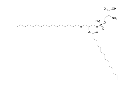 PS O-16:0_14:0