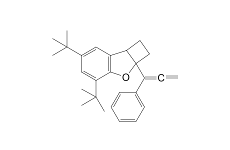 4,6-ditert-butyl-2a-(1-phenylpropa-1,2-dienyl)-2,7b-dihydro-1H-cyclobuta[b]benzofuran