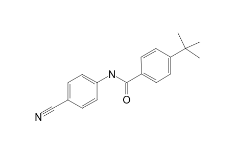 4-Cyano-N-(4'-tert-butylphenylamido)benzonitrile