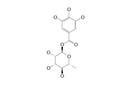 1-O-GALLOYL-ALPHA-L-RHAMNOPYRANOSE