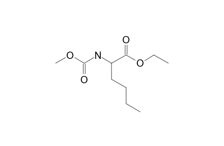 dl-Norleucine, N-methoxycarbonyl-, ethyl ester