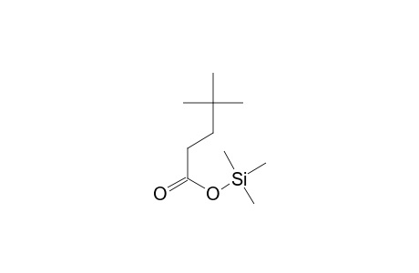 4,4-Dimethylpentanoic acid, tms