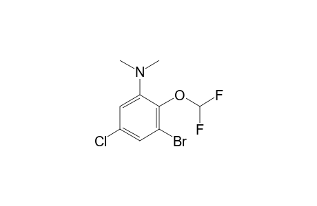 3-Bromo-5-chloro-2-(difluoromethoxy)aniline, N,N-dimethyl-