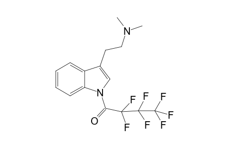 DMT HFB