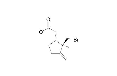 (1R-trans)-2-(Bromomethyl)-2-methyl-3-methylenecyclopentaneacetic acid