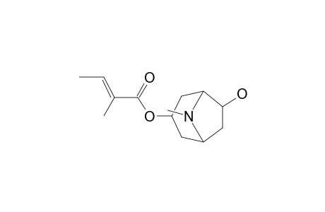 3-Tigloyloxy-6-hydroxytropane