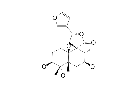 3-BETA,4-ALPHA,7-BETA,10-BETA-TETRAHYDROXY-15,16-EPOXY-LABDA-13(16),14-DIEN-20,12-OLIDE