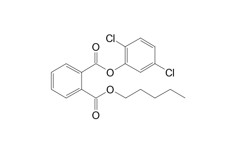 Phthalic acid, 2,5-dichlorophenyl pentyl ester