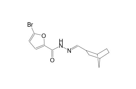 N'-[(E)-bicyclo[2.2.1]hept-2-ylmethylidene]-5-bromo-2-furohydrazide