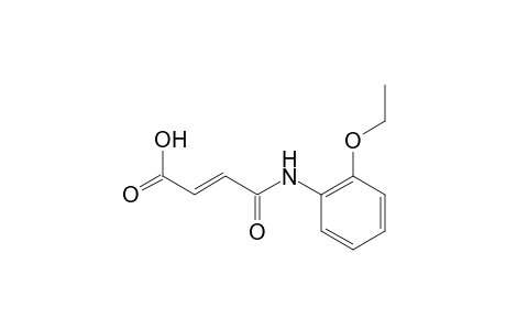 4-(2-Ethoxyanilino)-4-oxo-2-butenoic acid