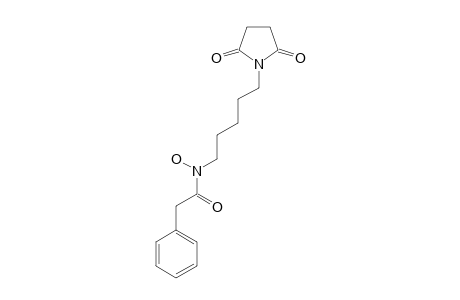 TERRAGINE-B