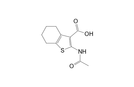 2-(Acetylamino)-4,5,6,7-tetrahydro-1-benzothiophene-3-carboxylic acid