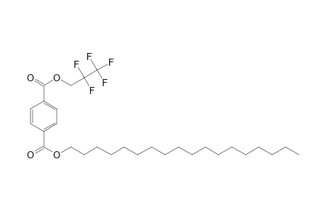 Terephthalic acid, 2,2,3,3,3-pentafluoropropyl octadecyl ester