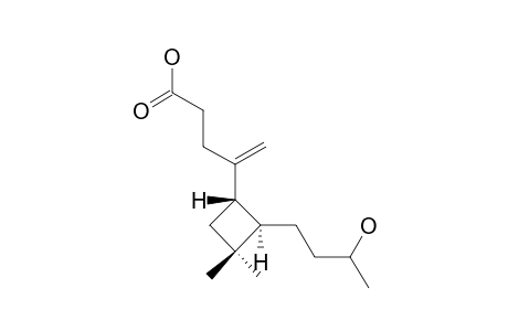 4-HYDROXY-4,5-SECO-CARYPHYLLEN-5-OIC-ACID