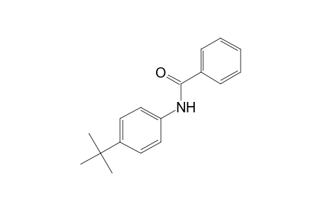 4'-tert-BUTYLBENZANILIDE