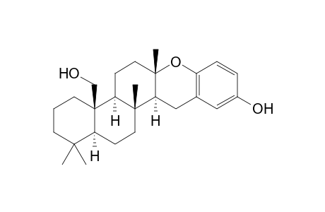 STRONGYLOPHORINE-23