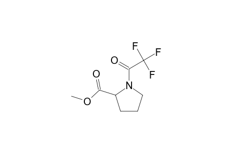 Proline, N-(trifluoroacetyl)-, methyl ester