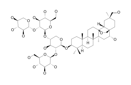 ARDISIACRISPIN-B