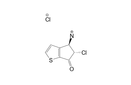 TRANS-5-CHLORO-6-OXO-5,6-DIHYDRO-4H-CYClOPENTA-[B]-THIEN-4-YLAMMONIUM-CHLORIDE