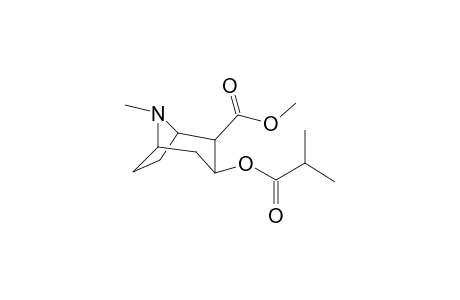 Isobutyroylecgonine methyl ester