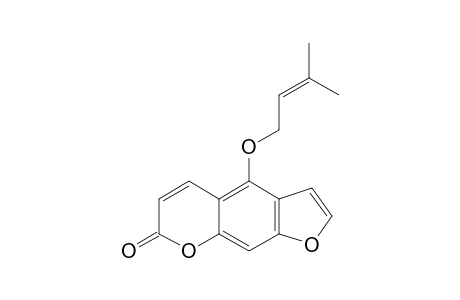 Isoimperatorin