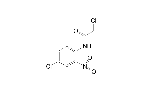 2,4'-dichloro-2'-nitroacetanilide