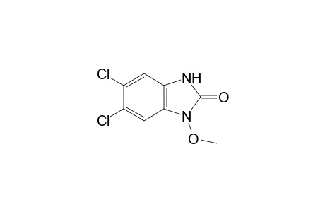 5,6-dichloro-1-methoxy-2-benzimidazolinone