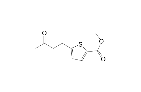 2-Thiophenecarboxylic acid, 5-(3-oxobutyl)-, methyl ester