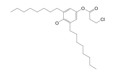 Propanoic acid, 3-chloro-, 4-hydroxy-3,5-dioctylphenyl ester