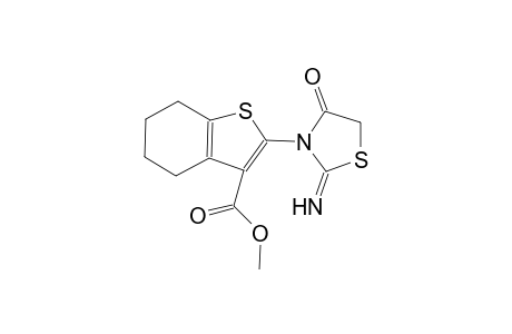 benzo[b]thiophene-3-carboxylic acid, 4,5,6,7-tetrahydro-2-(2-imino-4-oxo-3-thiazolidinyl)-, methyl ester